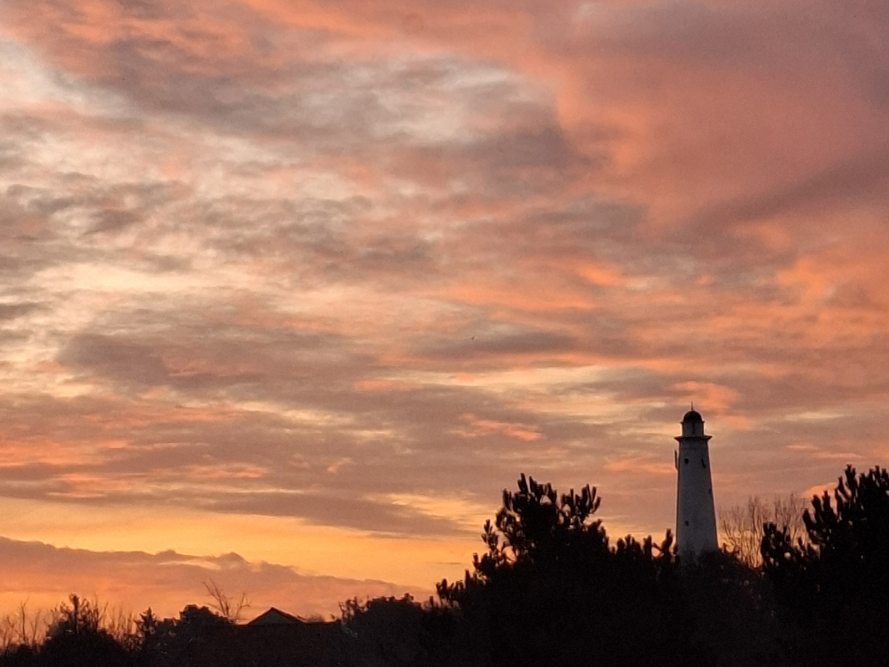 Werkvakantie vierde bundel