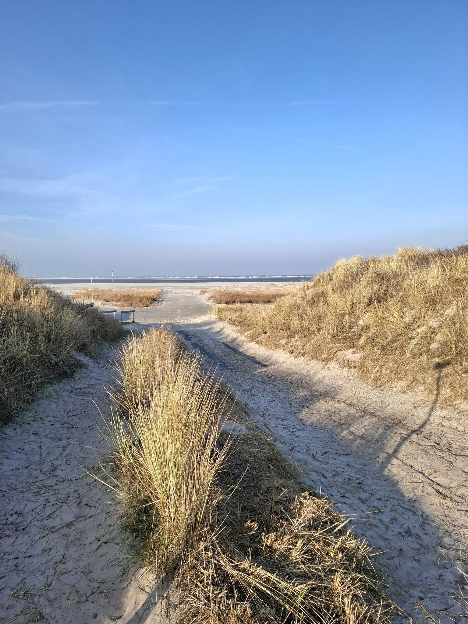 Werkvakantie vierde bundel