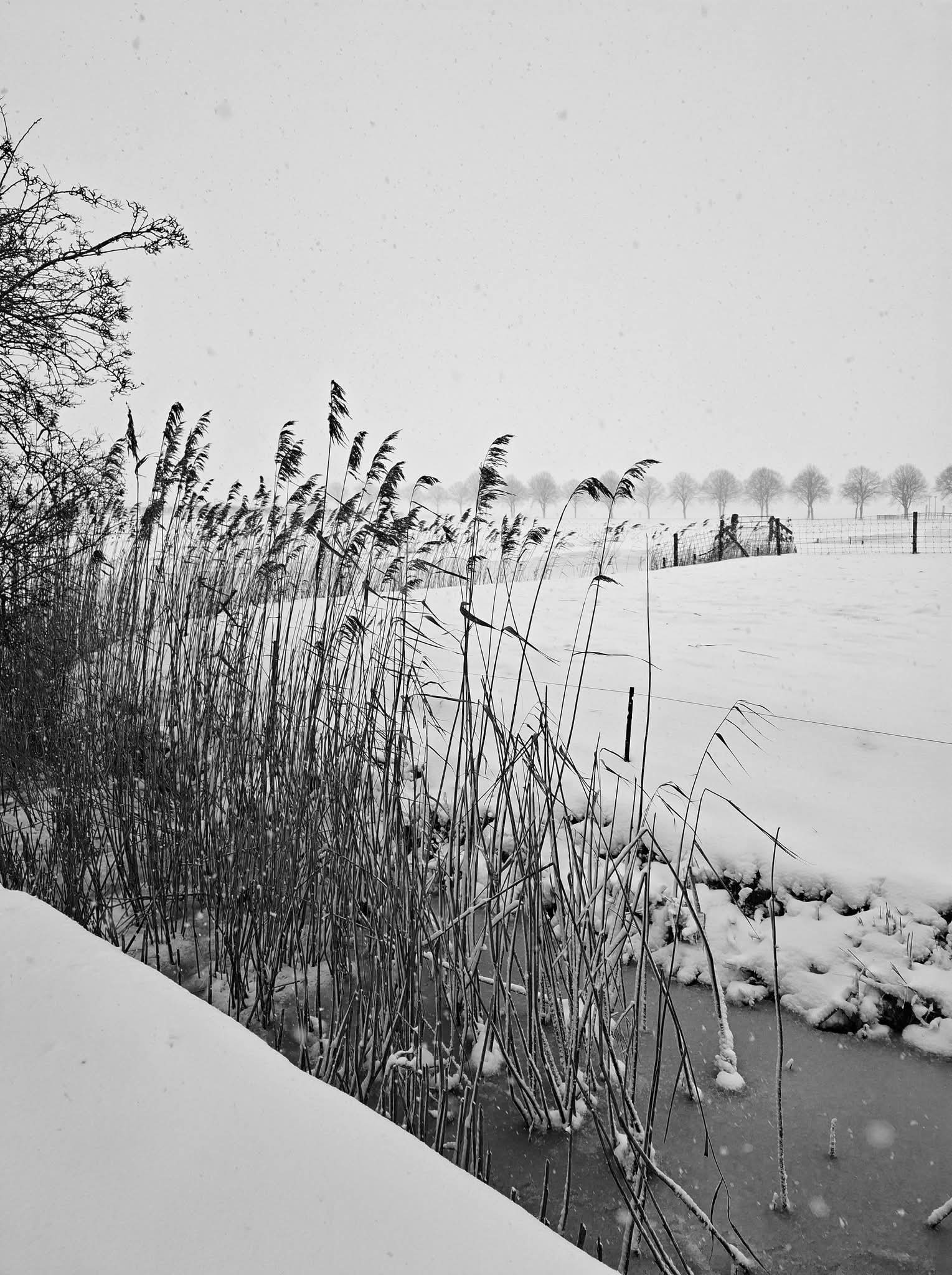 Mijn dorp in de sneeuw